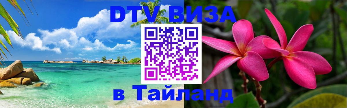 Сколько стоит DTV виза — актуальные цены, оформление даже без документов - 03.10.2025 